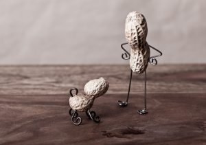 peanut man and dog